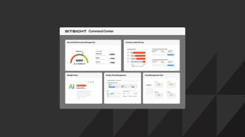 bitsight