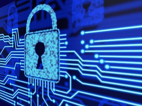 Arctic Wolf 2025 Cybersecurity Trends: Xalient's Expert Take