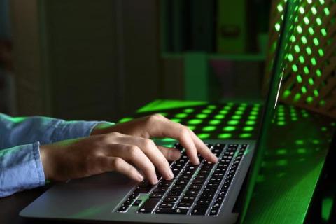 Now Your Data is on the Dark Web - What's Next?