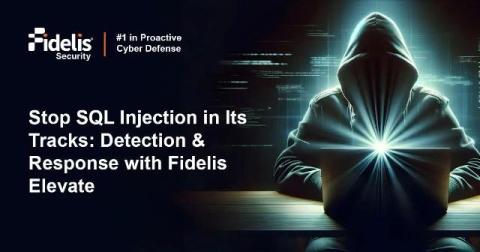 fidelis security
