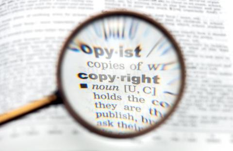 How to Protect Your Images from Copyright Theft