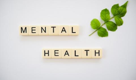 Addressing Security Concerns in the Development of Mental Health Applications